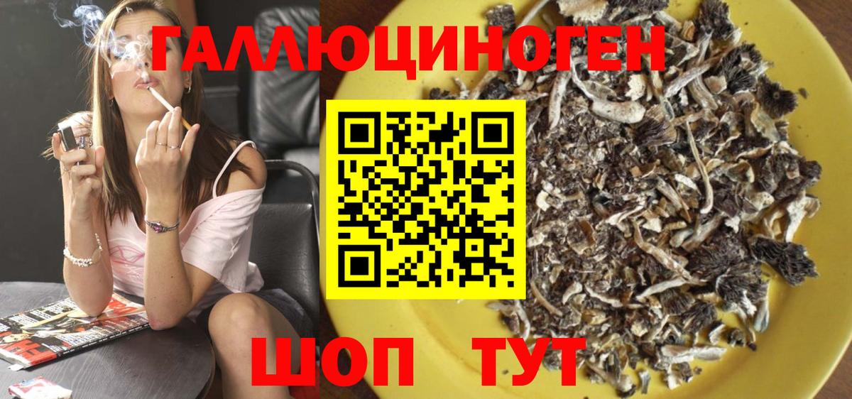 Галлюциногенные грибы Psilocybe Кудымкар